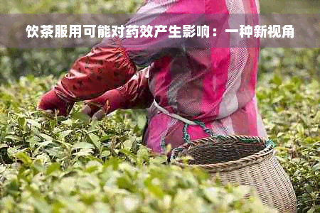 饮茶服用可能对药效产生影响：一种新视角