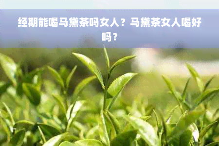 经期能喝马黛茶吗女人？马黛茶女人喝好吗？