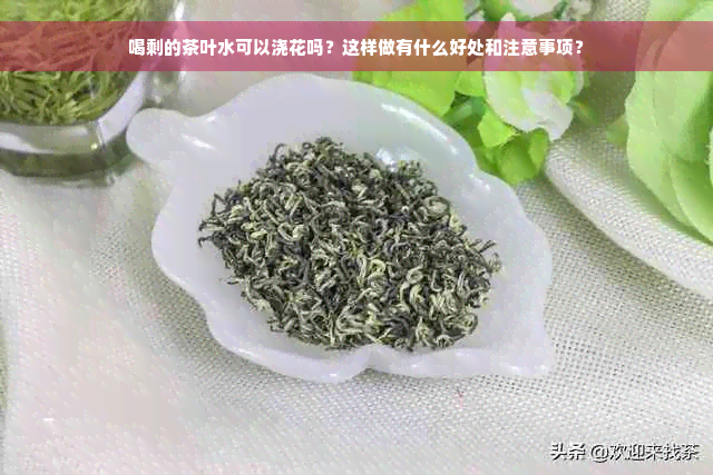 喝剩的茶叶水可以浇花吗？这样做有什么好处和注意事项？