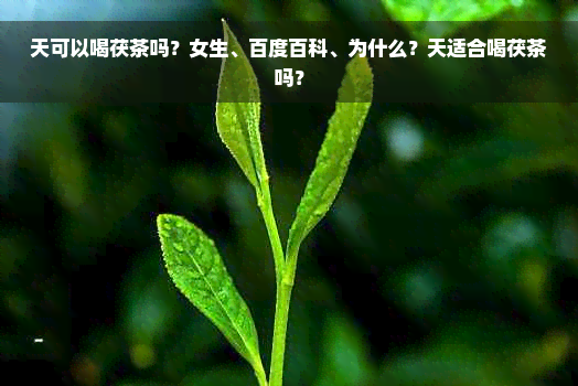 天可以喝茯茶吗？女生、百度百科、为什么？天适合喝茯茶吗？