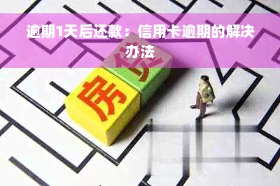 逾期1天后还款：信用卡逾期的解决办法