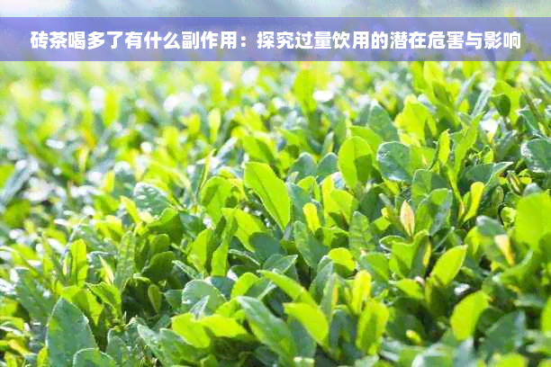 砖茶喝多了有什么副作用：探究过量饮用的潜在危害与影响