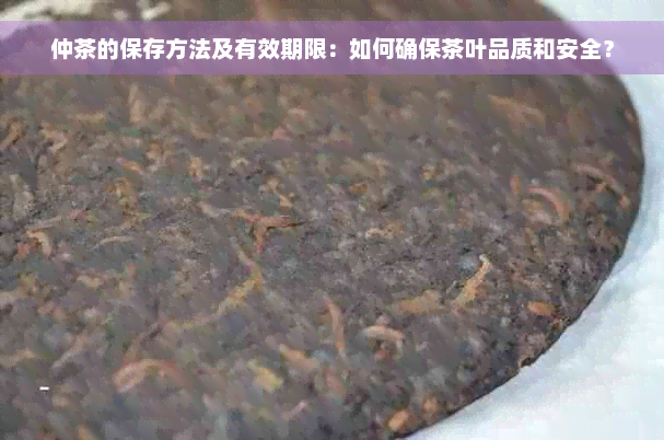 仲茶的保存方法及有效期限：如何确保茶叶品质和安全？