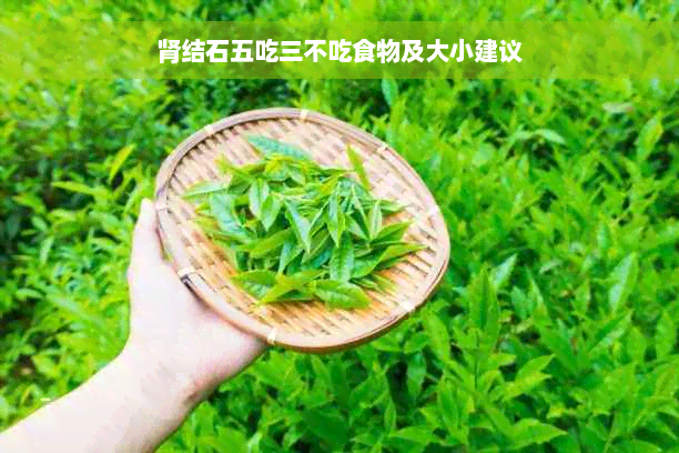 肾结石五吃三不吃食物及大小建议