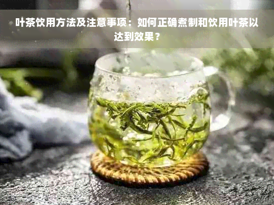 叶茶饮用方法及注意事项：如何正确煮制和饮用叶茶以达到效果？