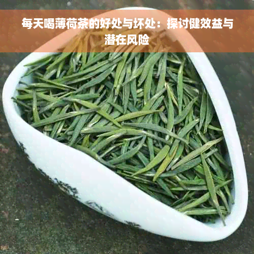 每天喝薄荷茶的好处与坏处：探讨健效益与潜在风险