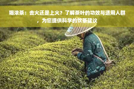 喝浓茶：去火还是上火？了解茶叶的功效与适用人群，为您提供科学的饮茶建议