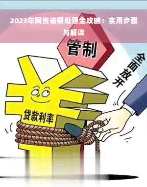 2023年网贷逾期处理全攻略：实用步骤与解读