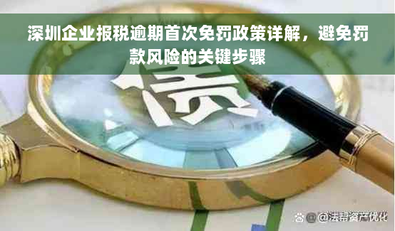 深圳企业报税逾期首次免罚政策详解，避免罚款风险的关键步骤
