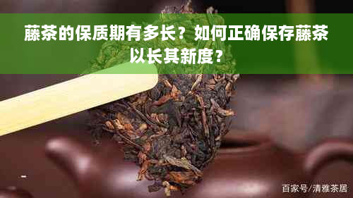 藤茶的保质期有多长？如何正确保存藤茶以长其新度？