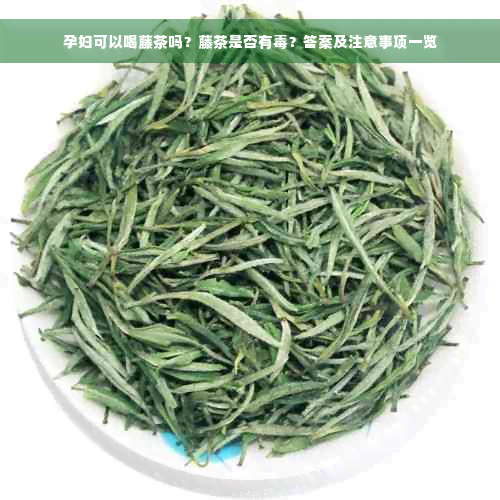 孕妇可以喝藤茶吗？藤茶是否有毒？答案及注意事项一览