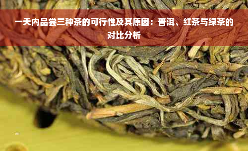 一天内品尝三种茶的可行性及其原因：普洱、红茶与绿茶的对比分析