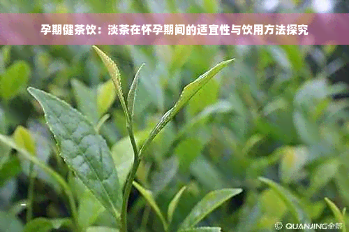 孕期健茶饮：淡茶在怀孕期间的适宜性与饮用方法探究