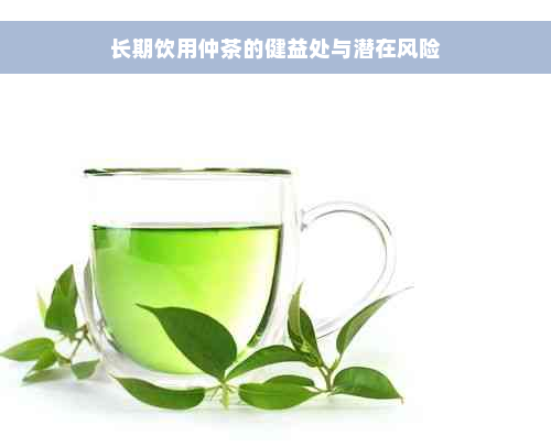 长期饮用仲茶的健益处与潜在风险