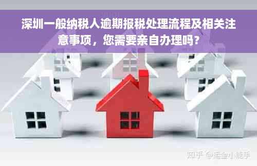 深圳一般纳税人逾期报税处理流程及相关注意事项，您需要亲自办理吗？