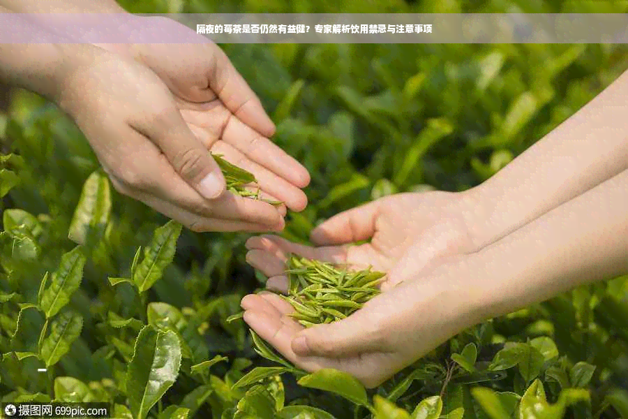 隔夜的莓茶是否仍然有益健？专家解析饮用禁忌与注意事项