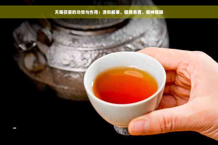 天喝茯茶的功效与作用：清热解暑、健脾养胃、提神醒脑