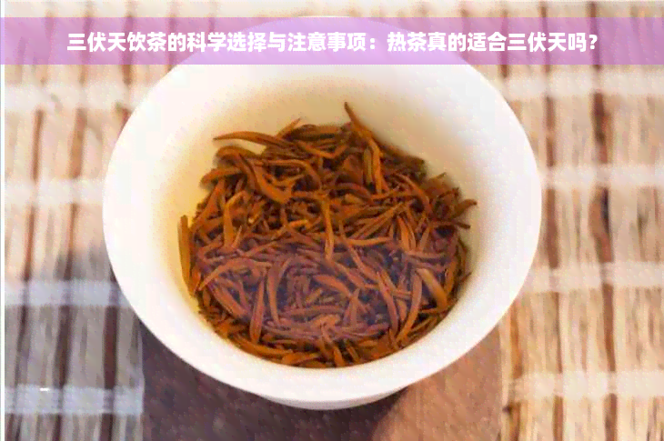 三伏天饮茶的科学选择与注意事项：热茶真的适合三伏天吗？