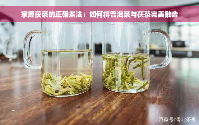 掌握茯茶的正确煮法：如何将普洱茶与茯茶完美融合