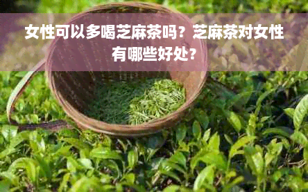 女性可以多喝芝麻茶吗？芝麻茶对女性有哪些好处？