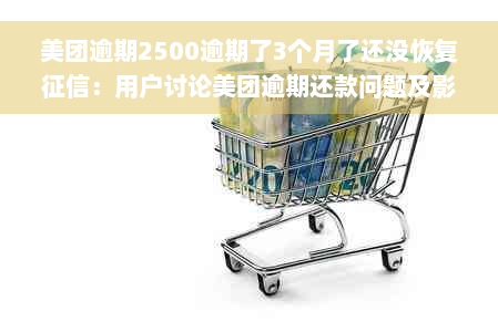 美团逾期2500逾期了3个月了还没恢复征信：用户讨论美团逾期还款问题及影响