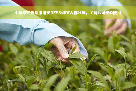 七星茶的长期服用安全性及适宜人群分析，了解后可安心使用