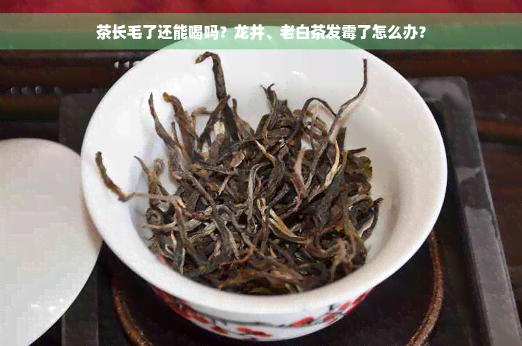 茶长毛了还能喝吗？龙井、老白茶发霉了怎么办？