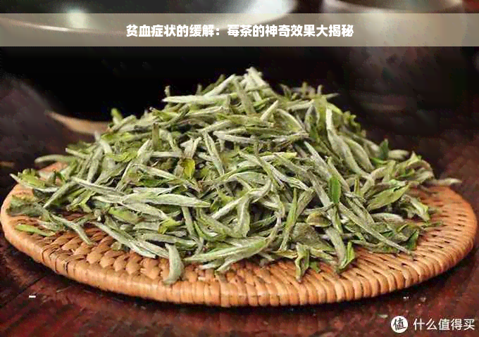 贫血症状的缓解：莓茶的神奇效果大揭秘