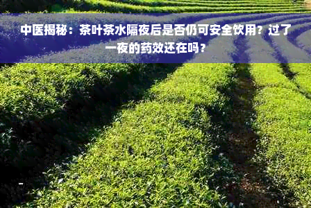 中医揭秘：茶叶茶水隔夜后是否仍可安全饮用？过了一夜的药效还在吗？