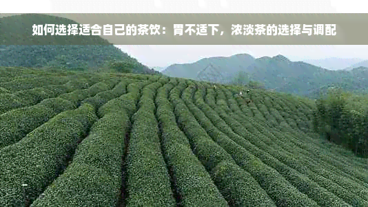 如何选择适合自己的茶饮：胃不适下，浓淡茶的选择与调配