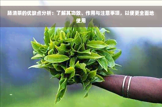 肠清茶的优缺点分析：了解其功效、作用与注意事项，以便更全面地使用