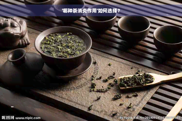 '哪种茶消炎作用'如何选择？