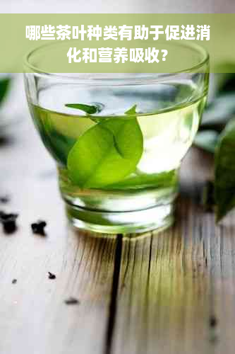 哪些茶叶种类有助于促进消化和营养吸收？