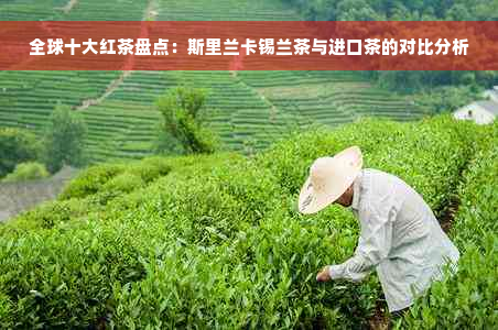 全球十大红茶盘点：斯里兰卡锡兰茶与进口茶的对比分析