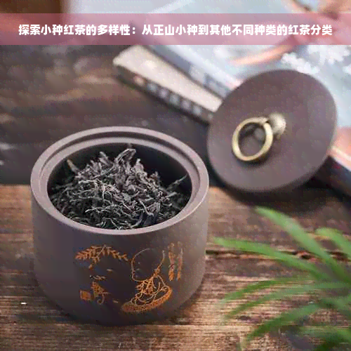 探索小种红茶的多样性：从正山小种到其他不同种类的红茶分类