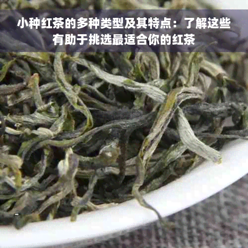 小种红茶的多种类型及其特点：了解这些有助于挑选最适合你的红茶