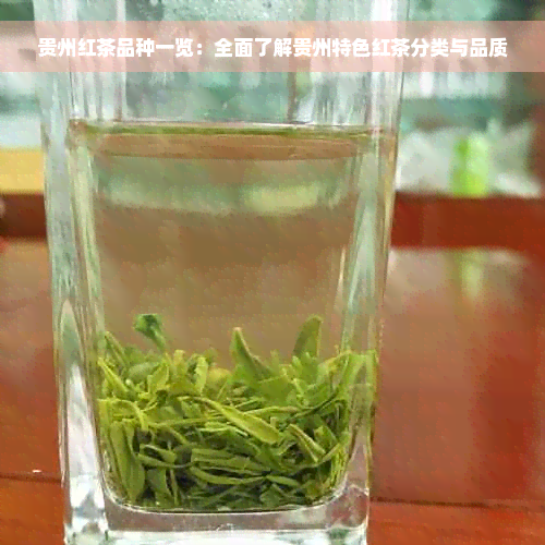 贵州红茶品种一览：全面了解贵州特色红茶分类与品质