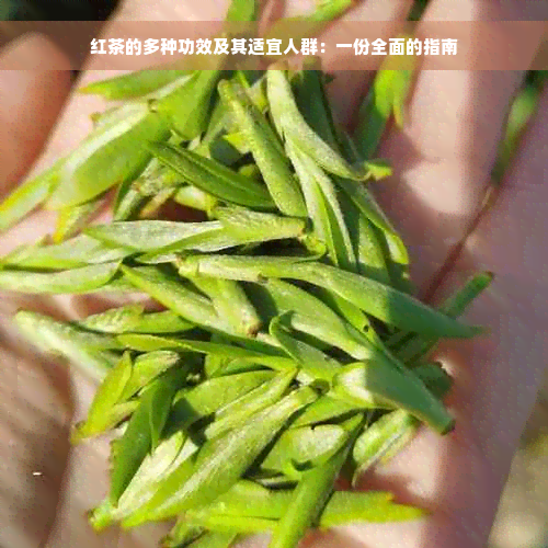 红茶的多种功效及其适宜人群：一份全面的指南