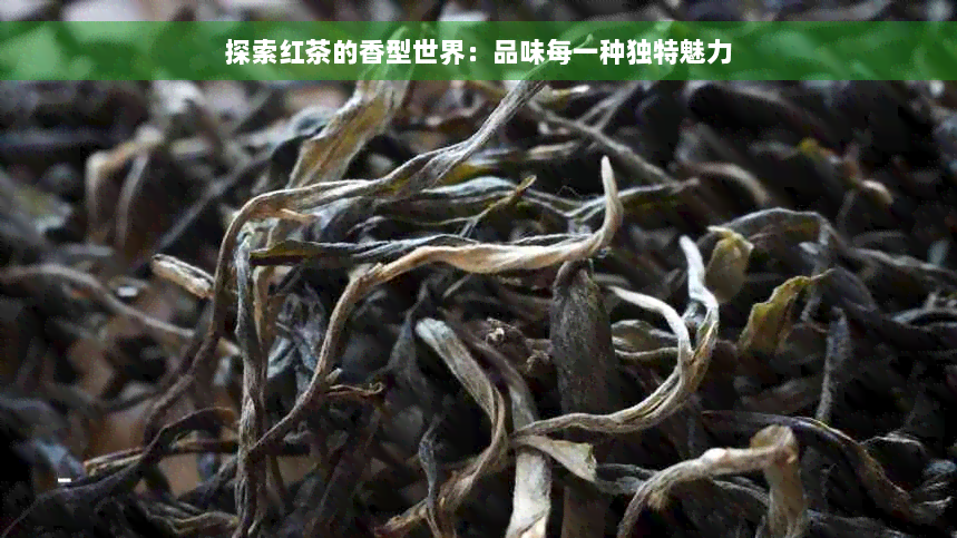 探索红茶的香型世界：品味每一种独特魅力