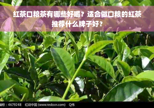 红茶口粮茶有哪些好喝？适合做口粮的红茶推荐什么牌子好？