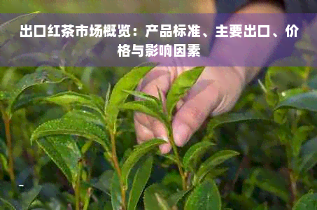 出口红茶市场概览：产品标准、主要出口、价格与影响因素