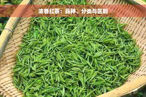 浓香红茶：品种、分类与区别