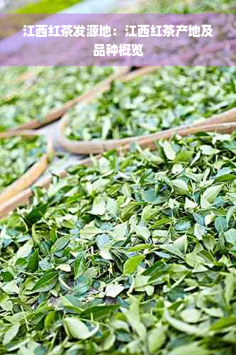 江西红茶发源地：江西红茶产地及品种概览