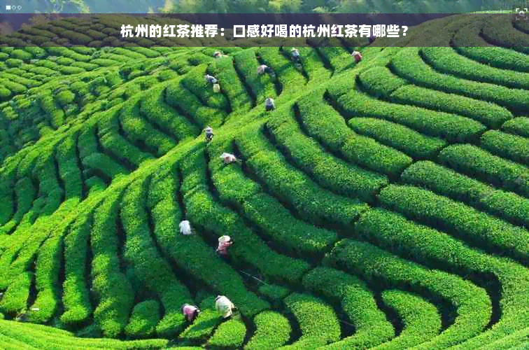 杭州的红茶推荐：口感好喝的杭州红茶有哪些？