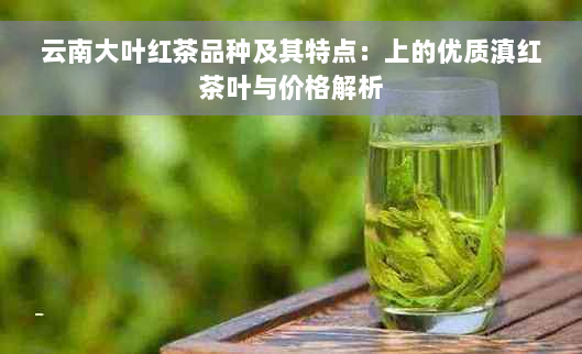 云南大叶红茶品种及其特点：上的优质滇红茶叶与价格解析