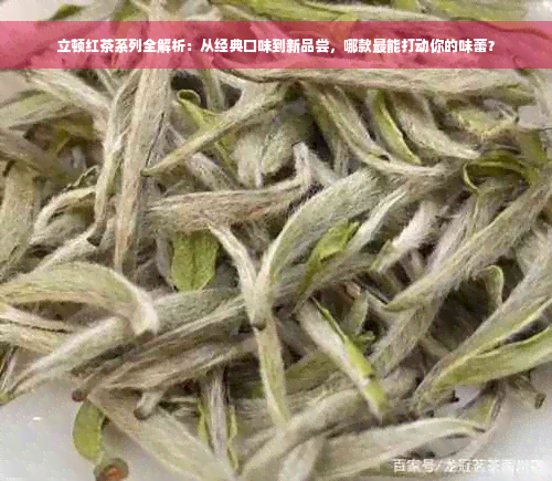 立顿红茶系列全解析：从经典口味到新品尝，哪款最能打动你的味蕾？