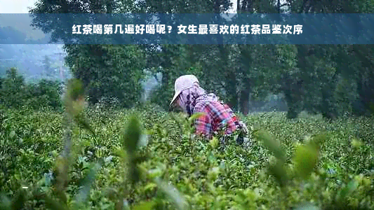 红茶喝第几遍好喝呢？女生最喜欢的红茶品鉴次序