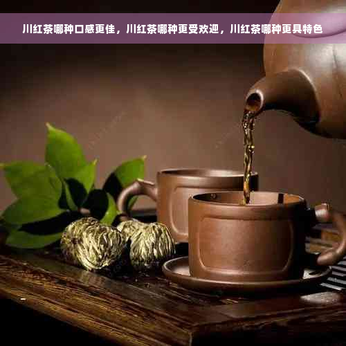 川红茶哪种口感更佳，川红茶哪种更受欢迎，川红茶哪种更具特色