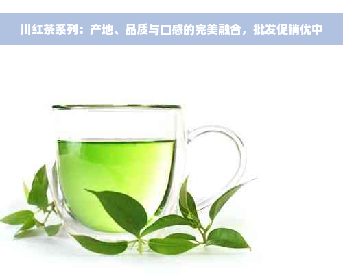川红茶系列：产地、品质与口感的完美融合，批发促销优中