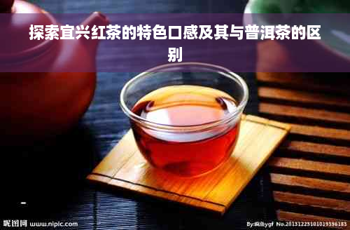 探索宜兴红茶的特色口感及其与普洱茶的区别